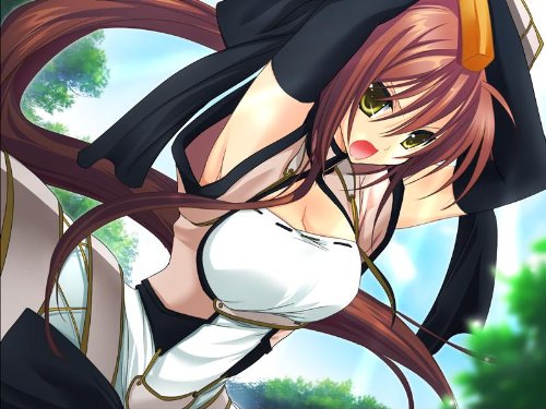 戰極姬飛舞於戰亂的少女