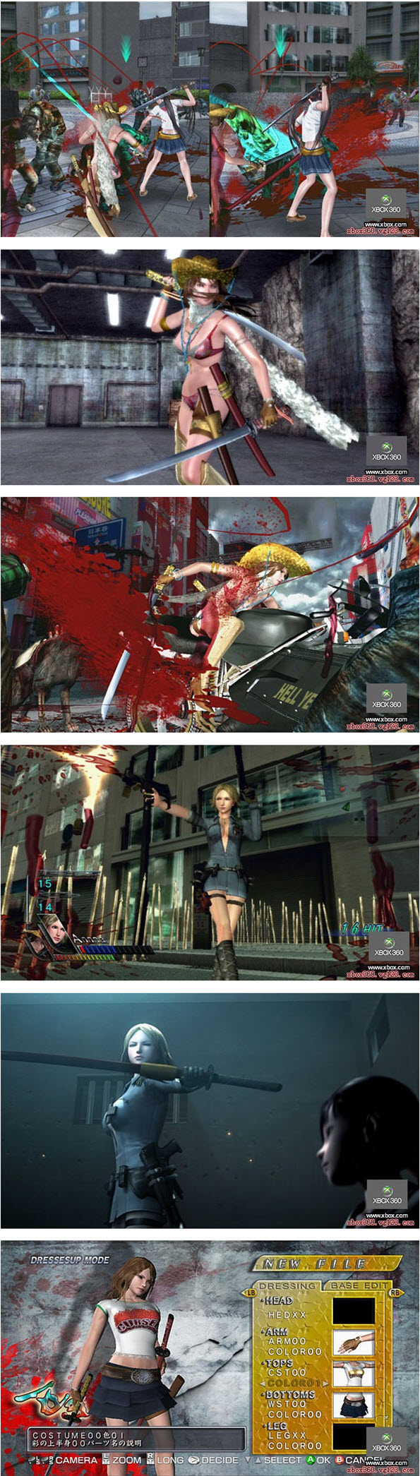 性感女劍士-忌血的繼承者