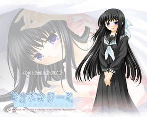 Hakarena Heart Limited Edition