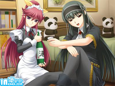 你是主人我是僕