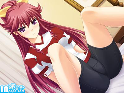 你是主人我是僕