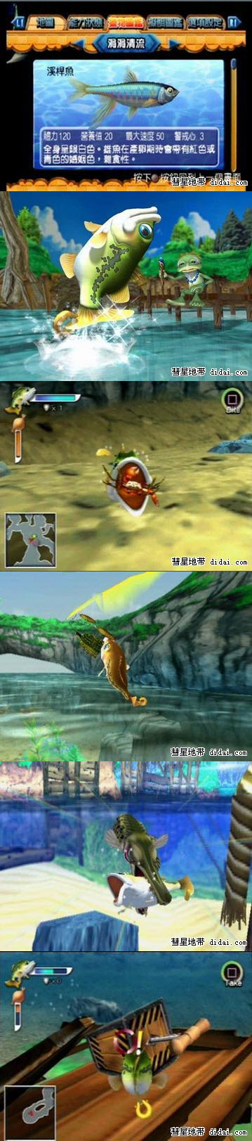 魚仔~搶救水塘大作