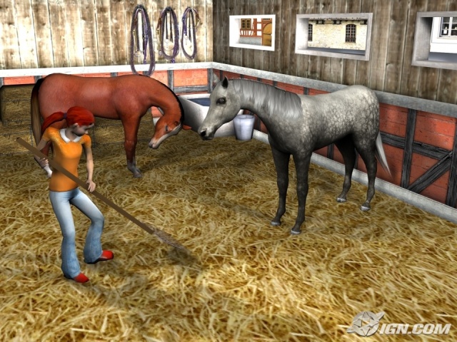 My Riding Stables