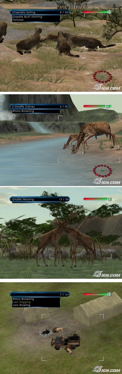 野生大地 非洲之旅