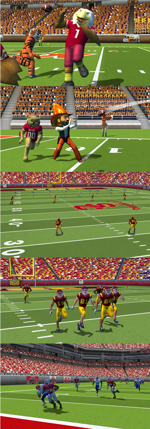 美國大學橄欖球